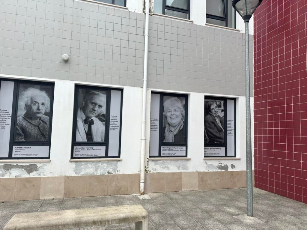 512692977 1304093731719389 1747640491872047287 n